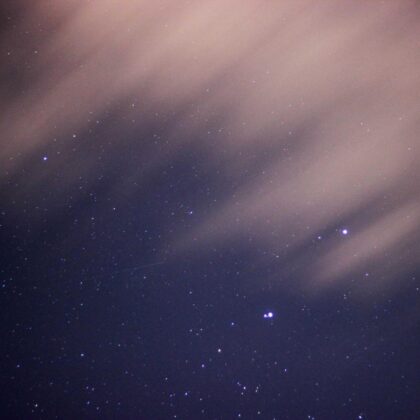 天然全价成犬粮 3kg #28