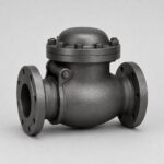 BackStop Check Valve