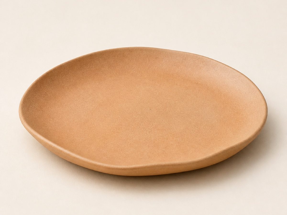 Everyday Dinner Plate