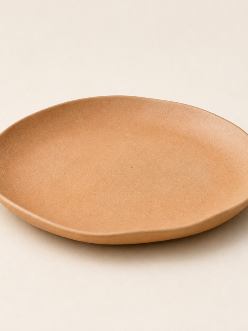 Everyday Dinner Plate