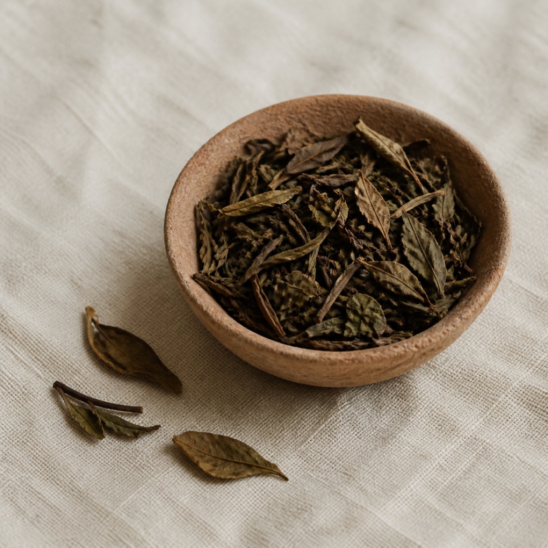 Aged olive-brown broad white tea leaves in a raw clay bowl