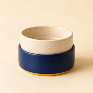 Speckle Ceramic Bowl Set