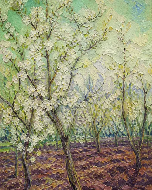 Orchard, Turned Earth