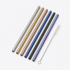 Steel Straw Set with Brush