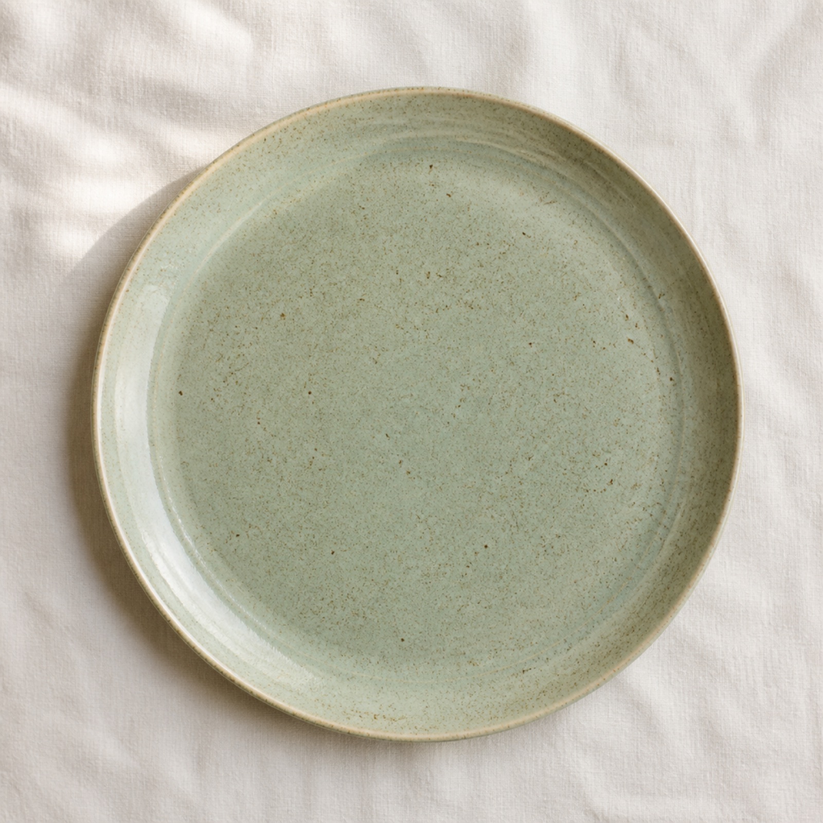 Aster Speckled Dinner Plate