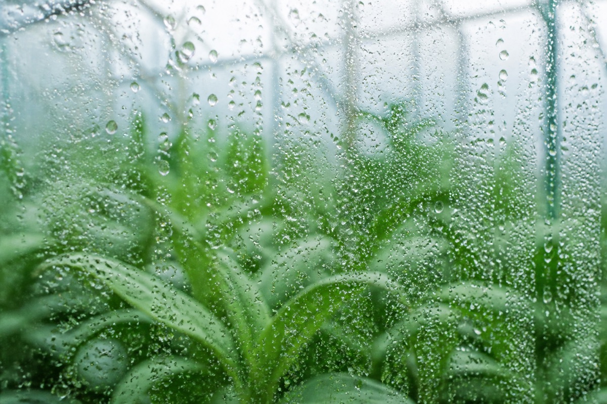 Read VPD, Not Relative Humidity