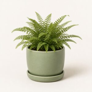 Sage Glazed Planter with Saucer