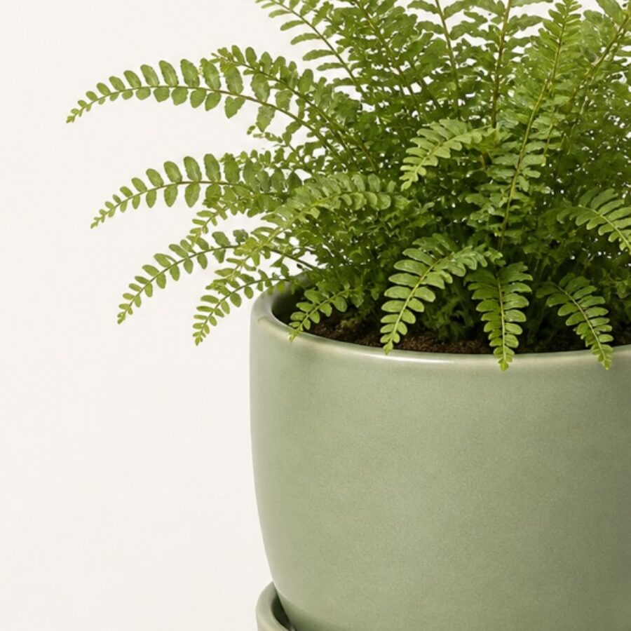 Sage Glazed Planter with Saucer - detail B
